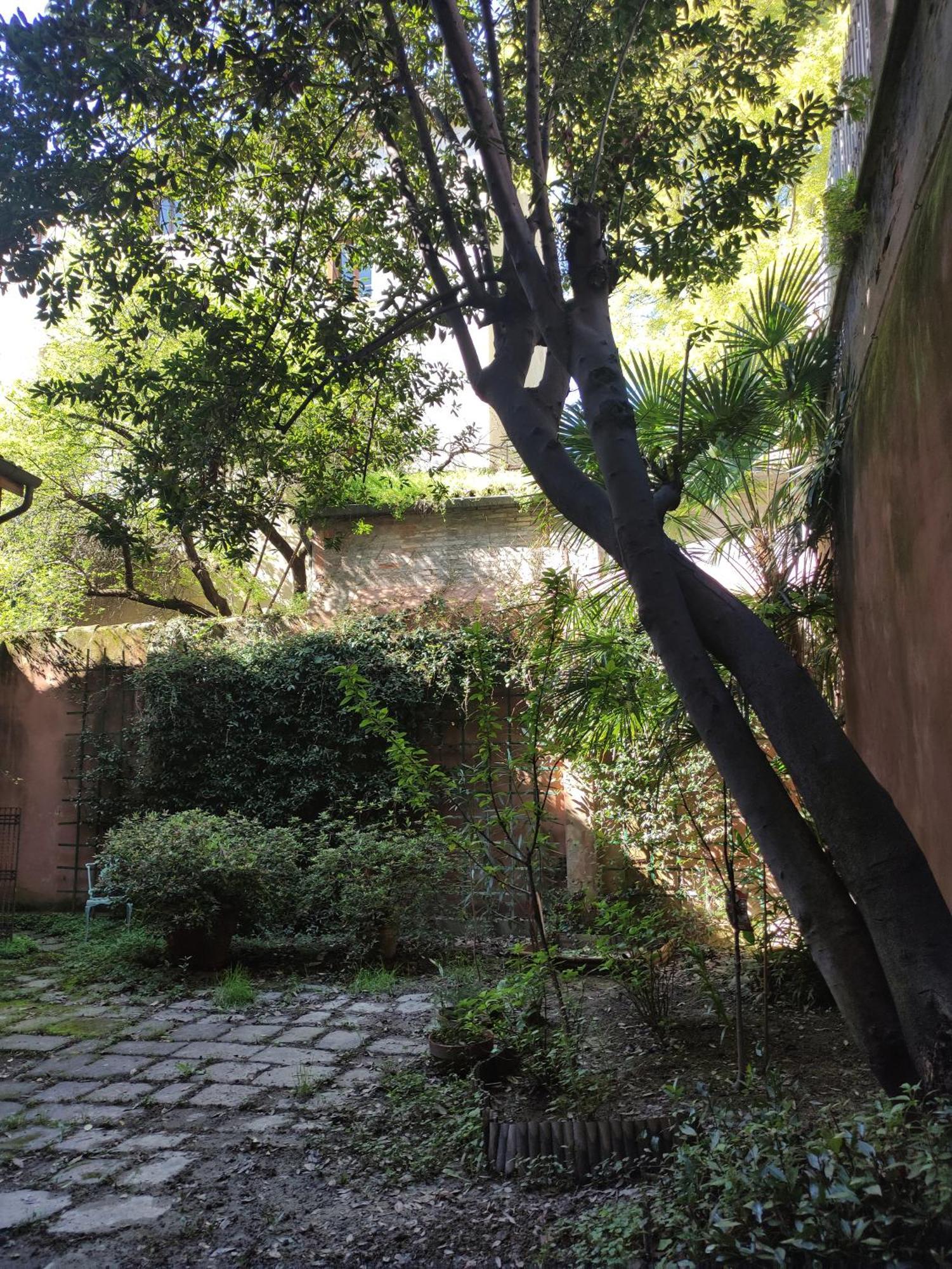 Loft Loggia Al Santo Διαμέρισμα Πάδοβα Εξωτερικό φωτογραφία